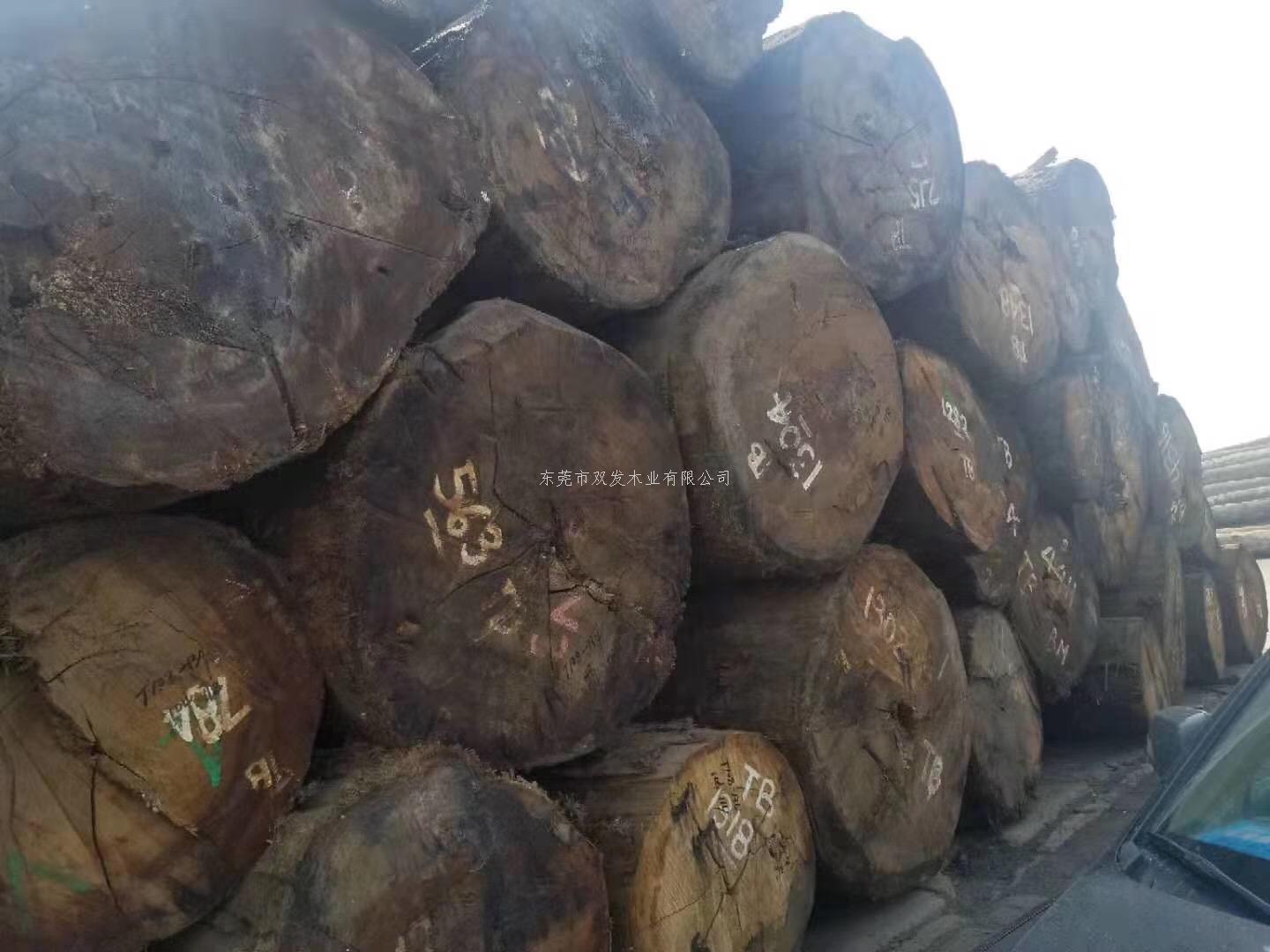 迎7月家具展，雙發(fā)木業(yè)原木加工進行中。。